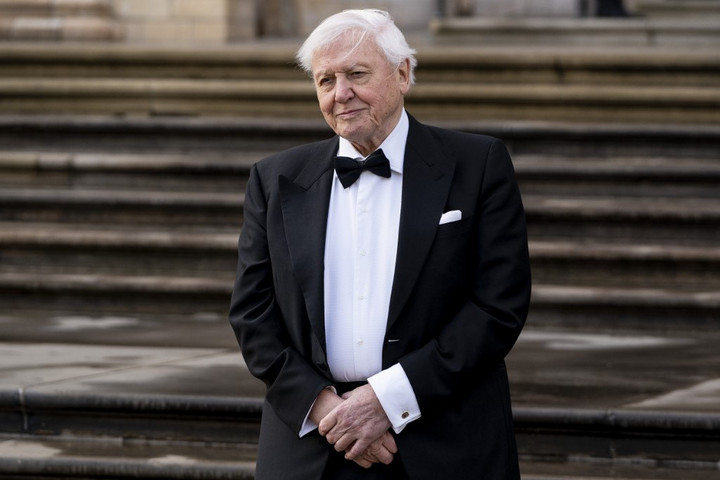 Fotó: AFP/Niklas HALLE'N David Attenborough ma 93 éves