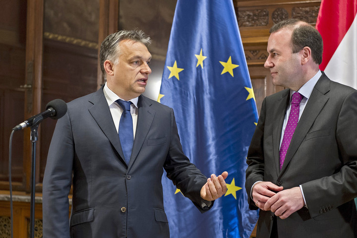 Fotó: AFP Bizonytalan Weber jövője