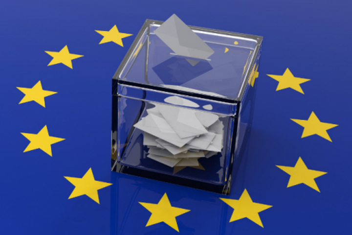 Közzétették a május végi európai parlamenti választás végleges eredményeit