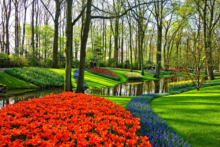 Fotó: Pixabay Hollandia többet nem fogja turistacélpontként hirdetni magát külföldön