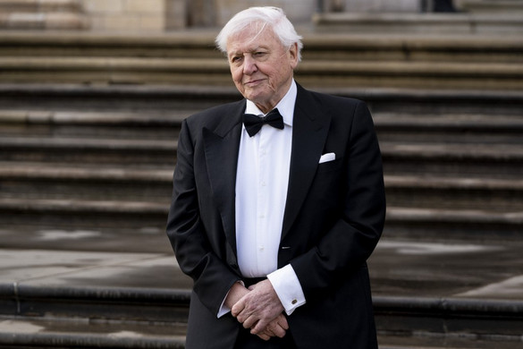 David Attenborough ma 93 éves