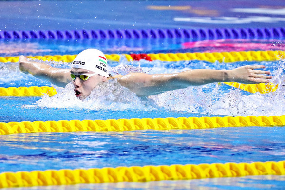 Csillagok háborúja