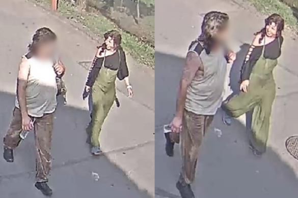 Fotó: police.hu Elfogták a teknőst agyonütő nőt