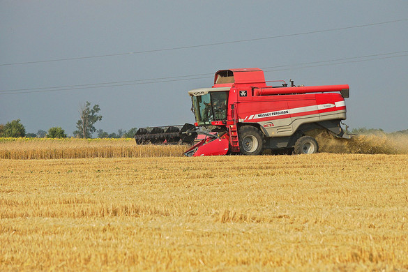 A külkereskedelmi többlet több mint felét az agrárium adja az idén