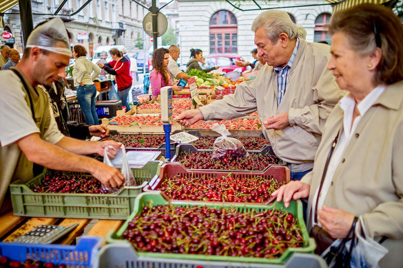 Nem okozott jelentős kárt a meggyültetvényekben a viharos időjárás