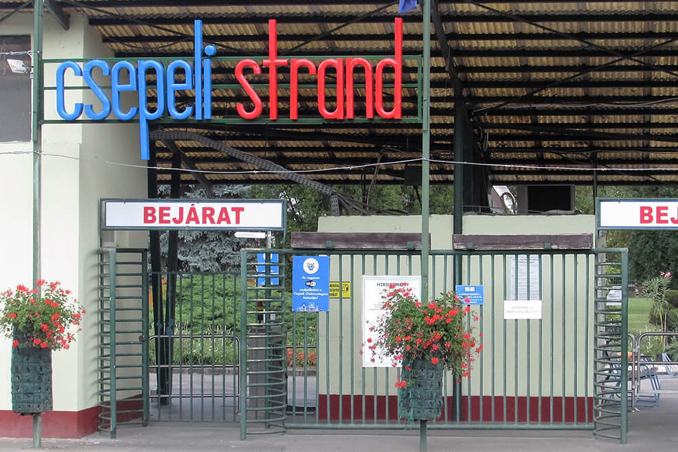 Cikk borítókép