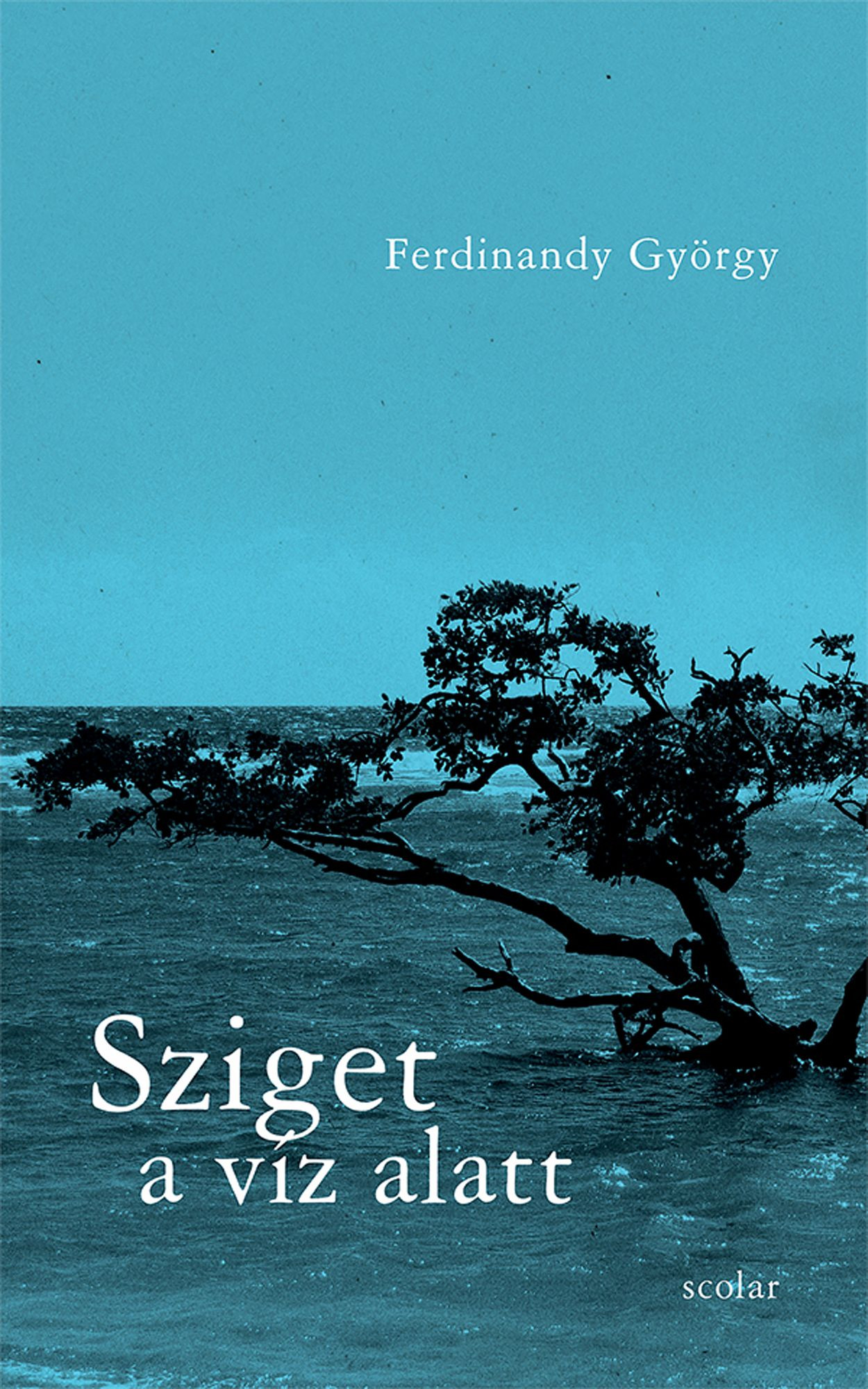 Fotó: MH Ferdinandy György: Sziget a víz alatt