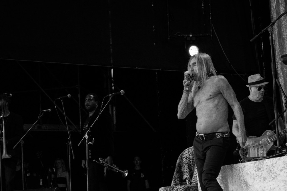 Iggy Pop