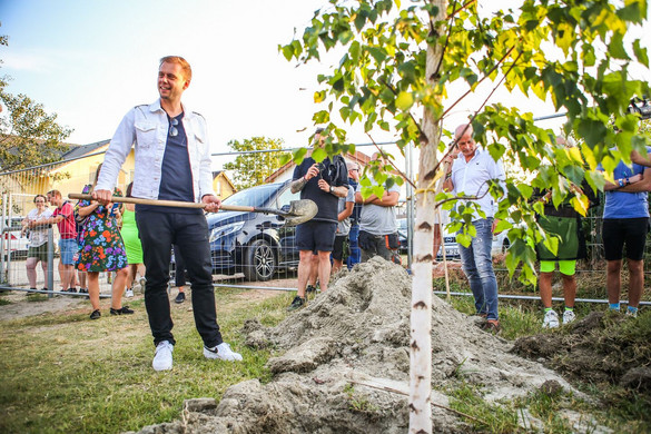 Fákat adott a Balaton Sound Zamárdinak