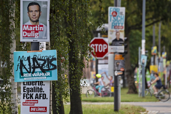 A csalódott németek pártja az AfD