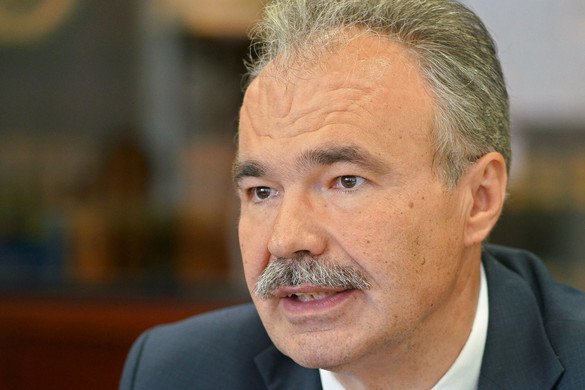 Nő az erdőtelepítés állami támogatása