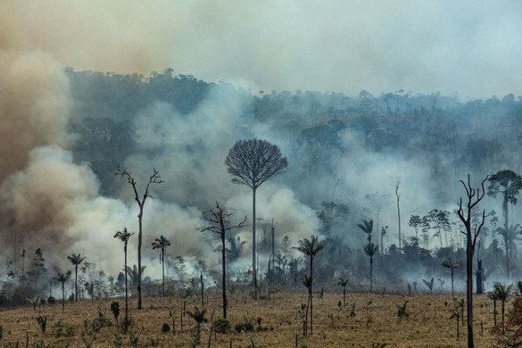 Több száz újabb helyen észleltek erdőtüzeket az Amazonas vidékén