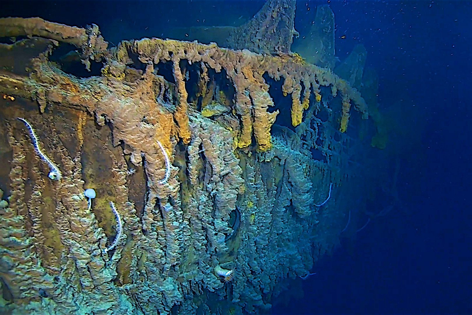 Filmcsemege: nyilvános a teljes videó a Titanic megtalálásáról