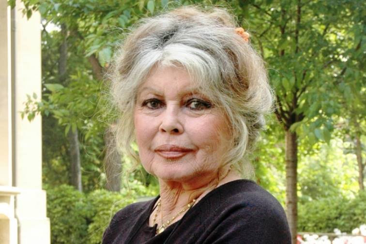 Fotó: Facebook / Brigitte Bardot Visszavonulását követően közéleti szereplésével borzolta a kedélyeket