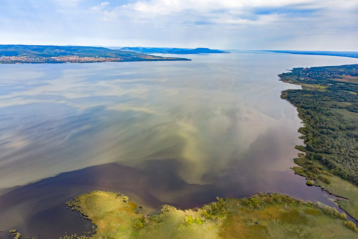 Fotó: MTI/Varga György Foszfor miatt algásodhatott el a Balaton