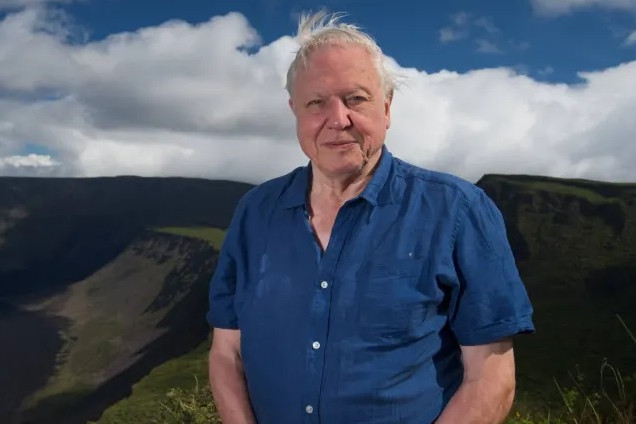 Új filmsorozattal készül David Attenborough