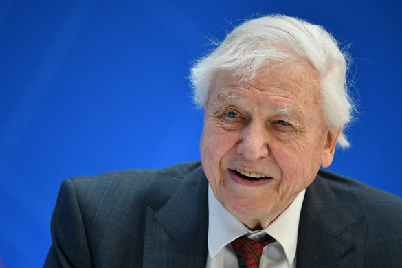 David Attenborough képviselhetné bolygónkat, ha földönkívüliekkel találkoznánk