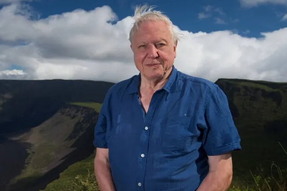 Rangos elismerést kapott David Attenborough