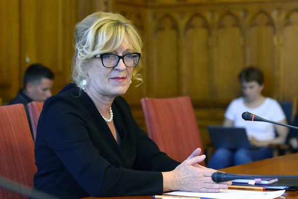 Handó Tünde erősítené a bíróságok és az Alkotmánybíróság közötti bizalmat