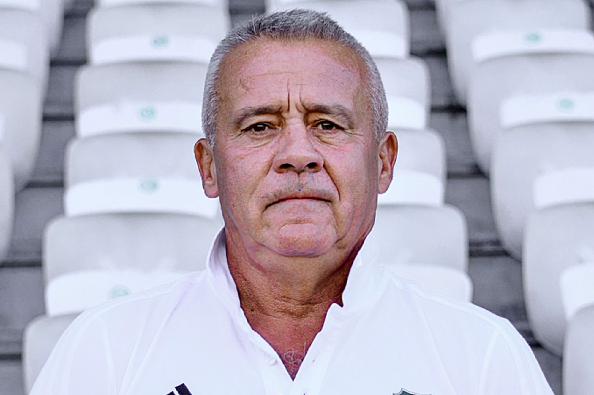 nagy fekete kakasok fasz
