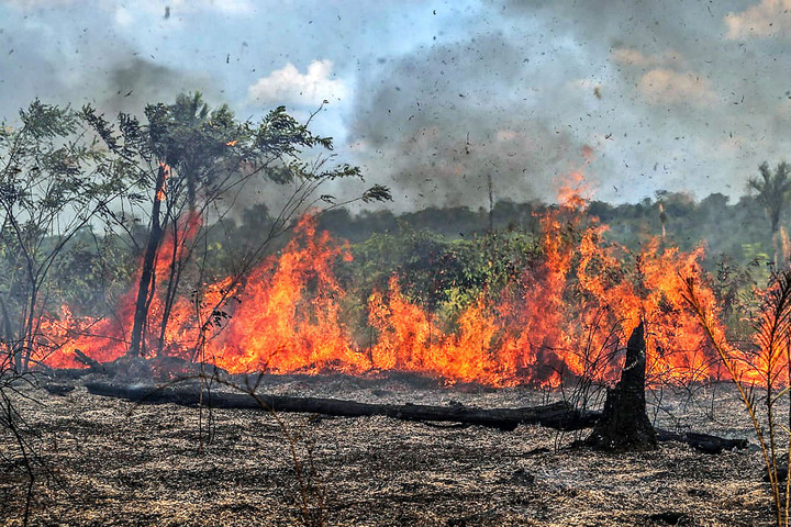 Amazonas: tízmilliók vízellátása forog kockán az erdőtüzek miatt