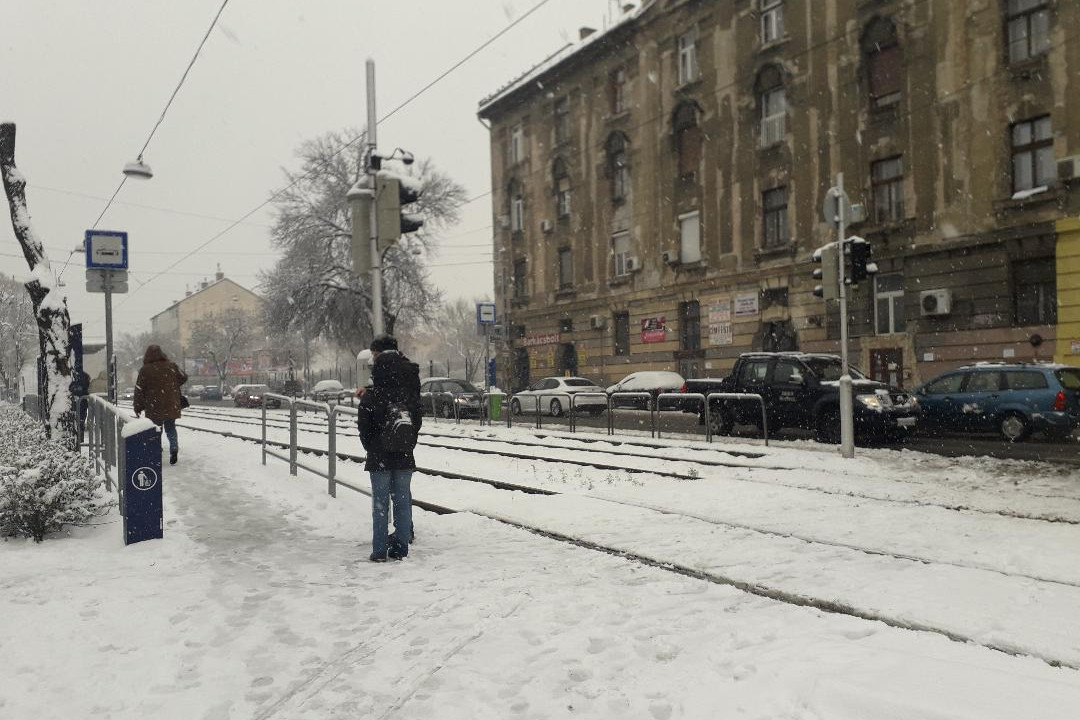 Fotó: MH Utasok várják a villamost a behavazott megállóban Budapesten
