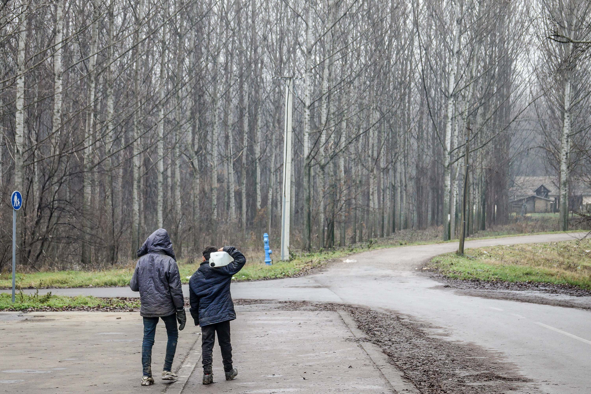 Fotó: MH / Katona László Az úgynevezett vajdasági rengeteg széle. A távolban a helyi erdész lakása sejlik föl. A kerítés mögött lévő kutyák távol tartják a betolakodókat.