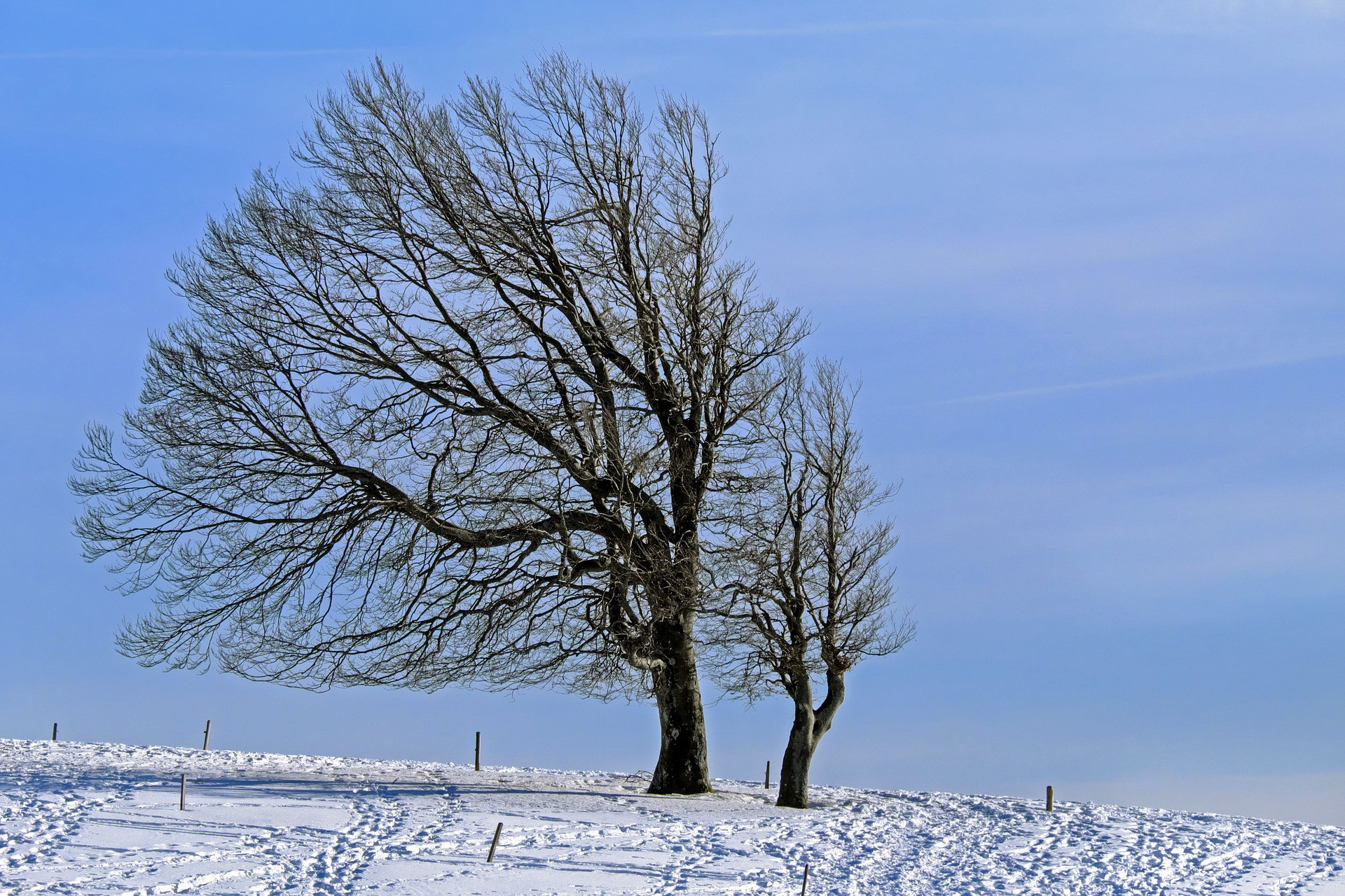 Fotó: Pixabay A Dunántúlon és a középső tájakon havaseső, havazás is várható az erős szél mellett