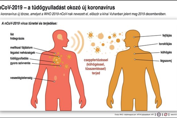 Fotó: MTI Karanténba kerül az óceánjáróról hazatért két magyar
