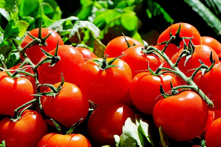 Fotó: Pixabay Vegyszeres paradicsomot hívott vissza a Lidl