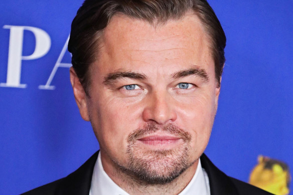 Csalás miatt mehet bíróságra Leonardo DiCaprio
