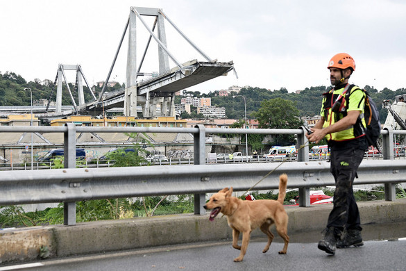 Genovai hídomlás: visszavonhatják az üzemeltetési engedélyt