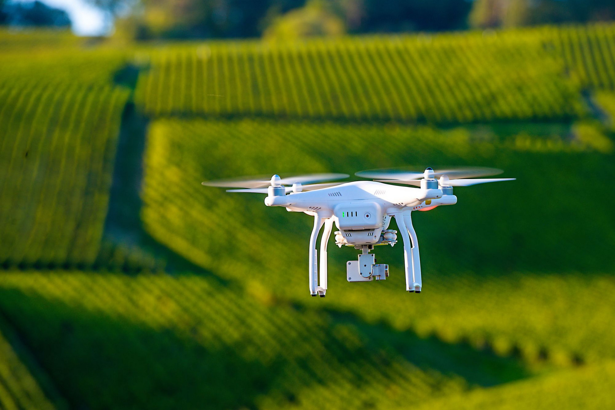 A precíziós gazdálkodás elterjedésében jelentős szerepet kapnak a drónok