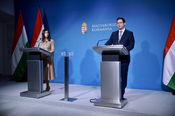 Fotó: MH/Bodnár Patrícia Gulyás Gergely: Nincs koronafertőzéses betegre utaló minta