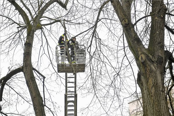 Fotó: MTI/Czeglédi Zsolt Vihar után: a legtöbb helyen újraindult a vonatközlekedés
