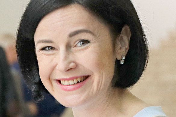 Kunhalmi, a tárgyi tudás nélküli oktatáspolitikus