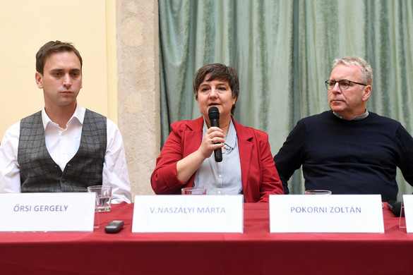 Lemondásra szólították fel V. Naszályi Mártát