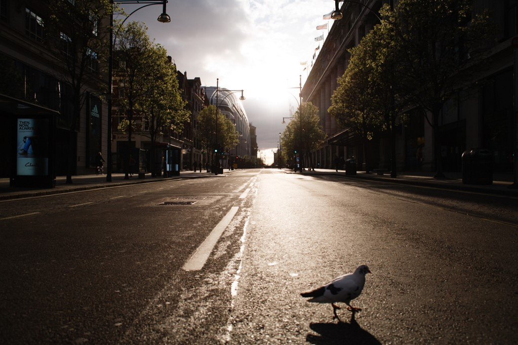 Fotó: David Cliff / NurPhoto / NurPh Galamb sétál az Oxford Street-en, Londonban