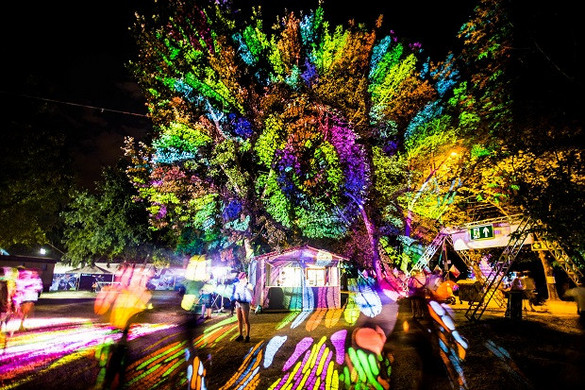 Zöld innovációval nyert a Sziget