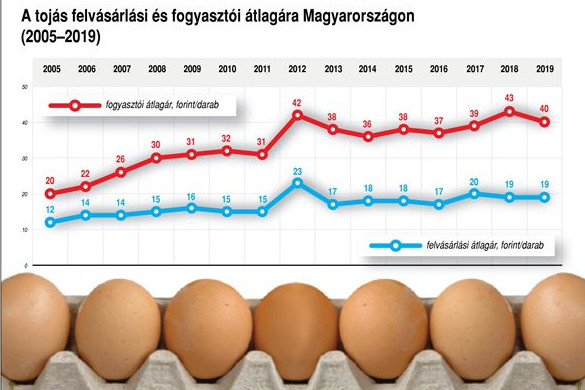Fotó: MTI Túlkínálat nincs, a kereslet és a kínálat egyensúlyban van a piacon