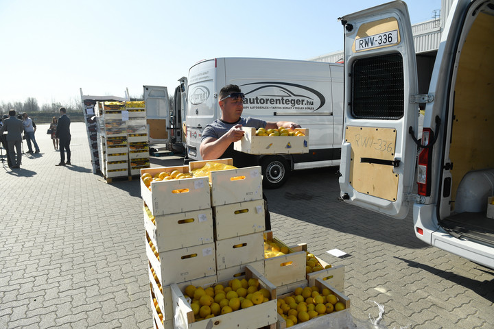 Drágulhatnak a citrusfélék egy uniós szabályozás miatt