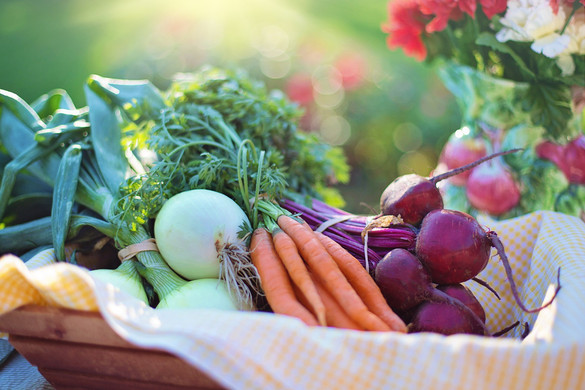 Erősítsük immunrendszerünket zöldséggel és gyümölccsel!