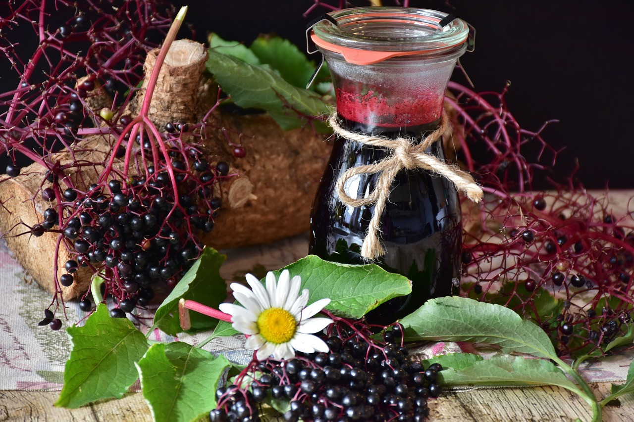 Fotó: Pixabay A bogyó gyümölcssavakat, C- és A-vitamint, flavonoidokat valamint antociánokat tartalmaz