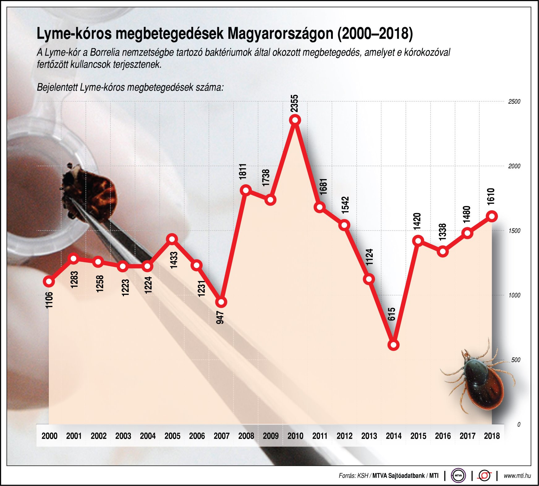 Fotó: MTI Bejelentett Lyme-kóros megbetegedések száma