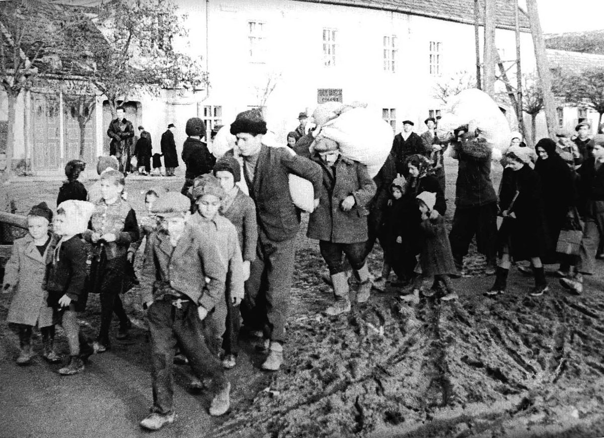 Lakosságcsere. Dunacsúny, 1946. november