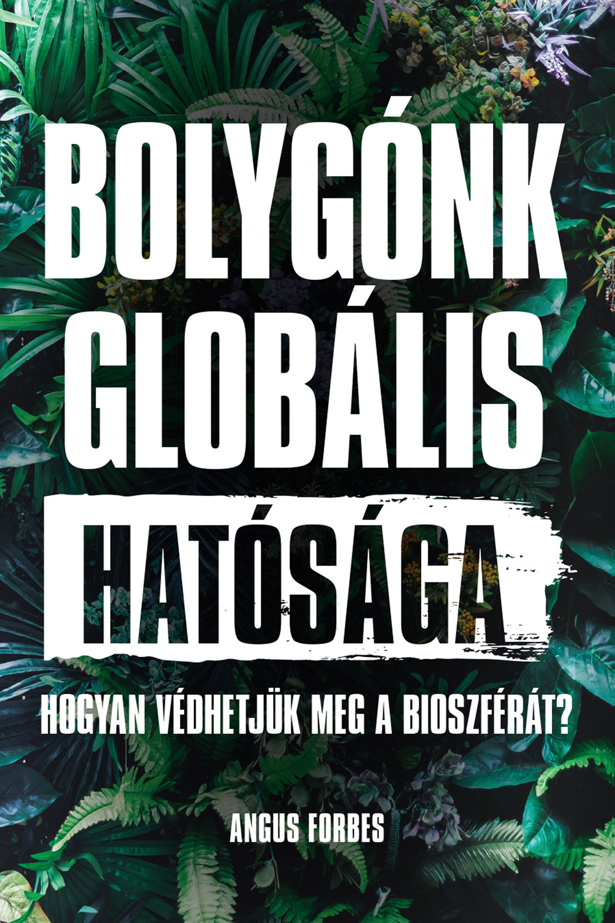 Angus Forbes: Bolygónk globális hatósága – Hogyan védhetjük meg a bioszférát?