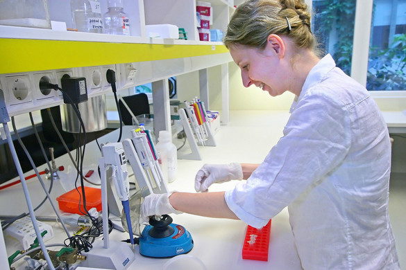 Új PCR-gyorstesztet fejlesztettek Magyarországon