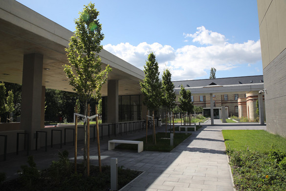 Új park nyílt a Városliget közelében