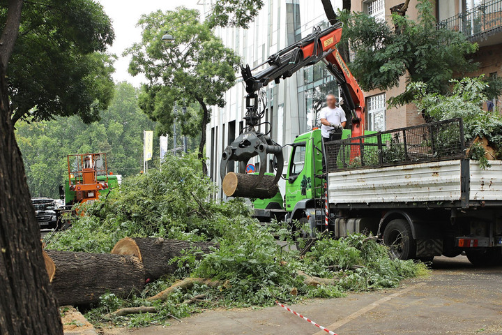 Zöldprogrammal győzött, most fákat vágat ki Soproni