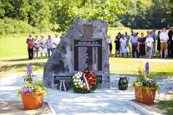 Fotó: MTI/Varga György Gulyás: Néha a reménytelennek tűnő küzdelem is hozhat eredményt